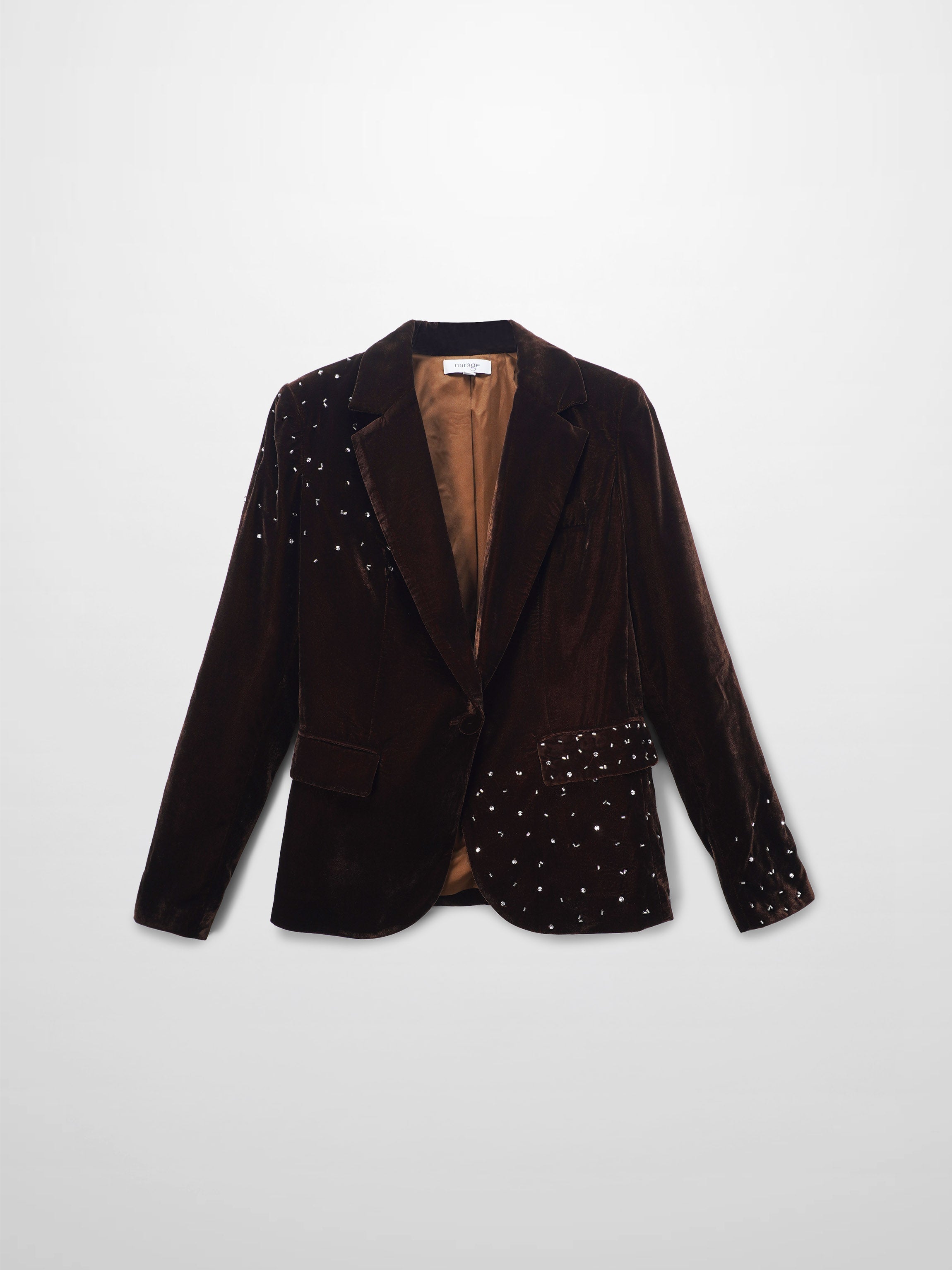 Embellished Velvet Blazer-Brown