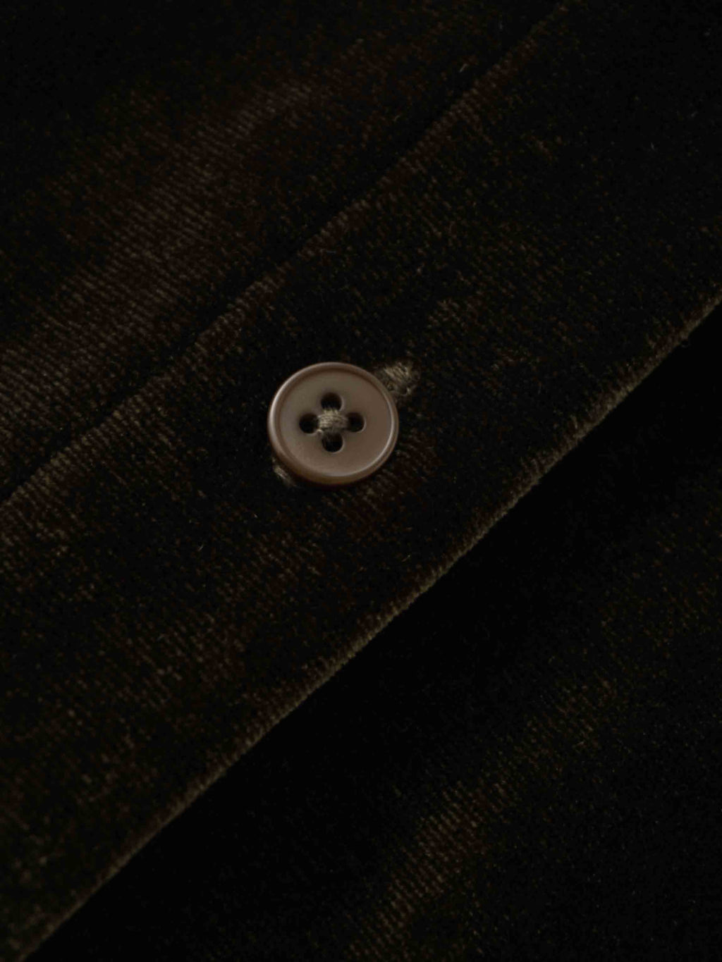 Velour Button Down Blouse-Green