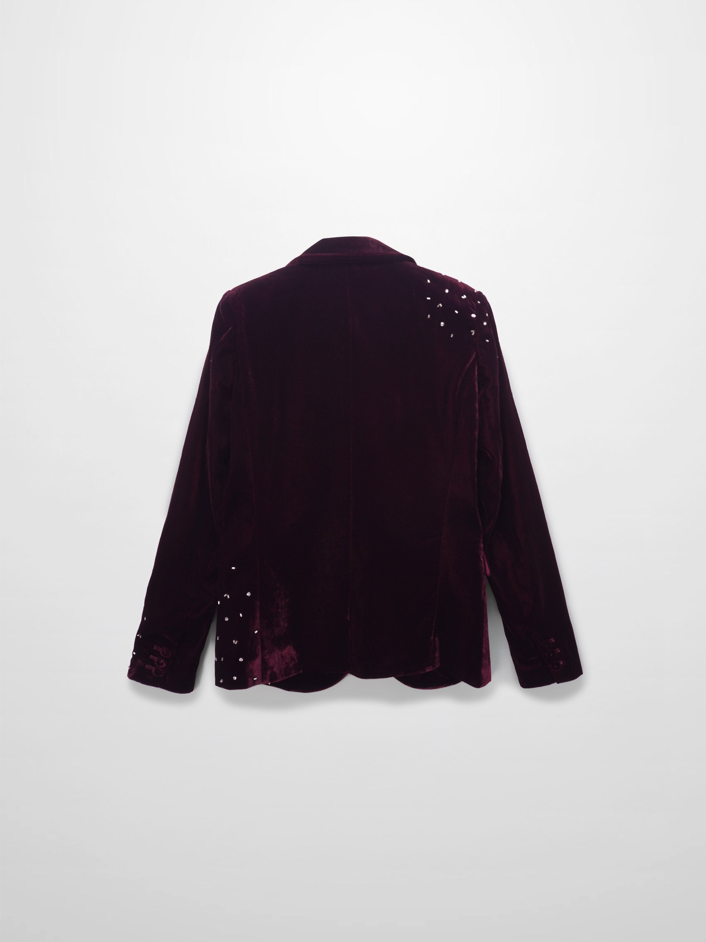 Embellished Velvet Blazer-Burgundy