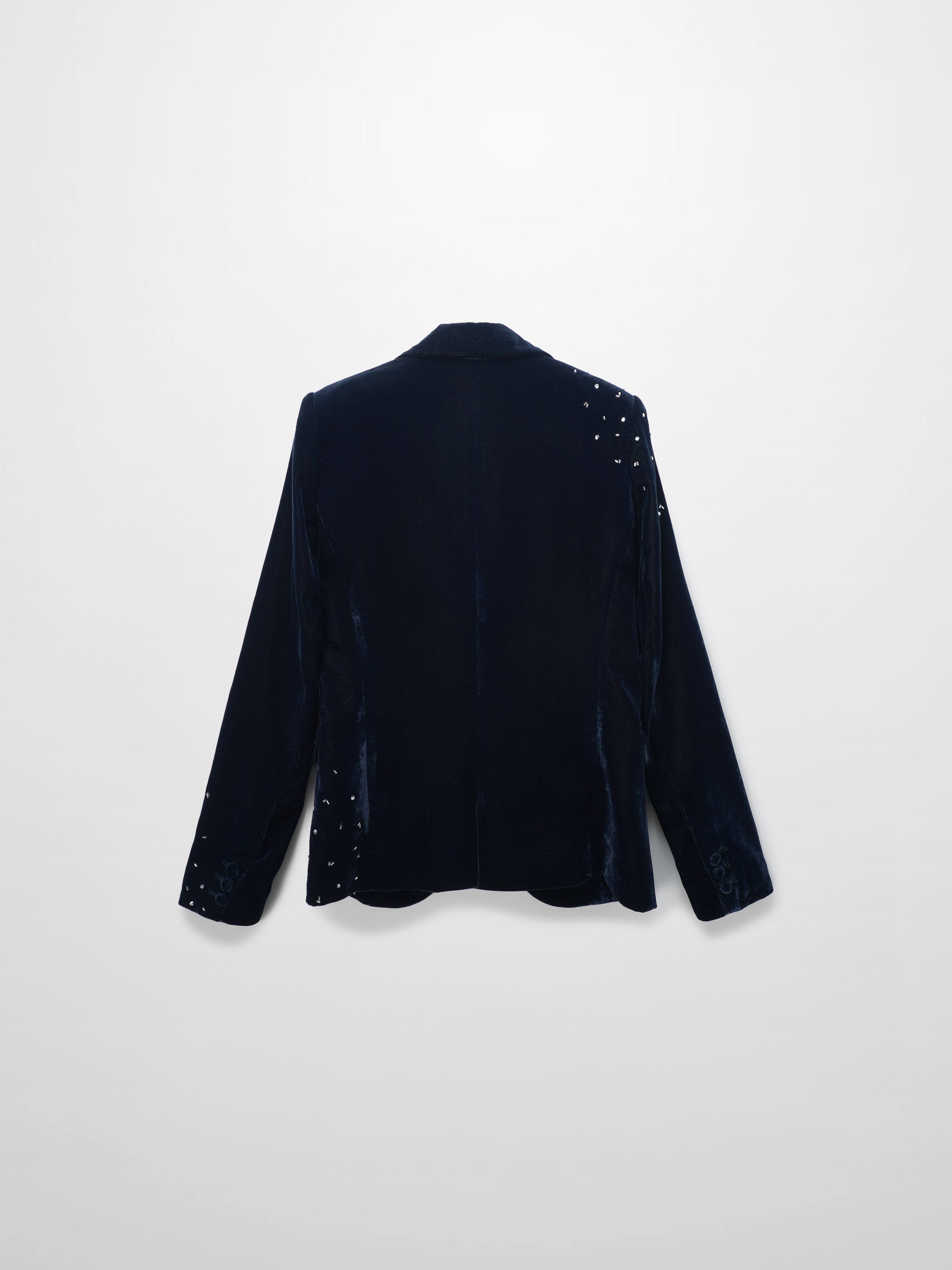 Embellished Velvet Blazer-Grey/Blue