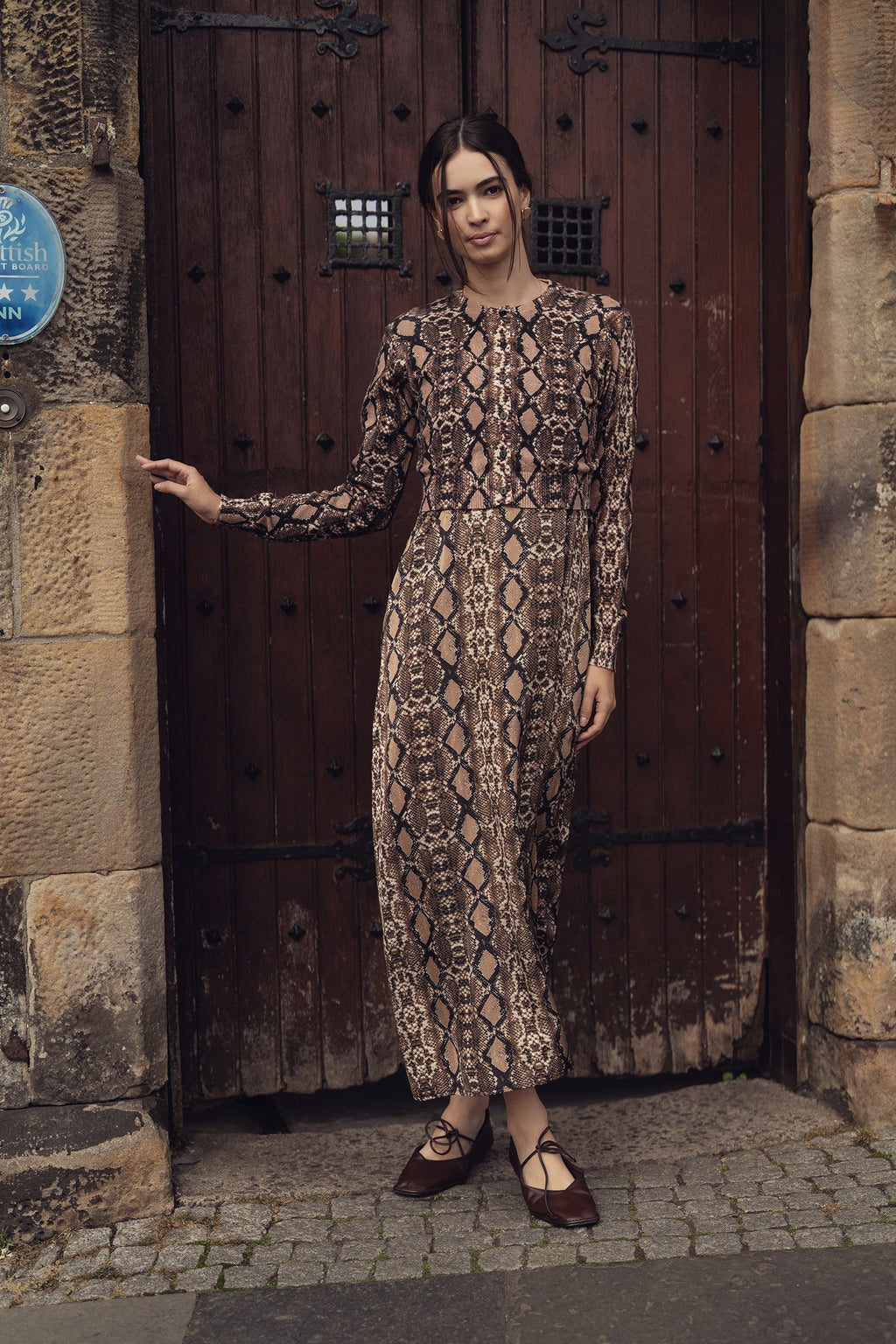 A-Line V Neck Slip Dress-Snakeskin